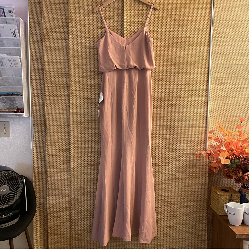 Dress the Population Gracelyn - Blush Maxi Dress - Picture 3 of 8